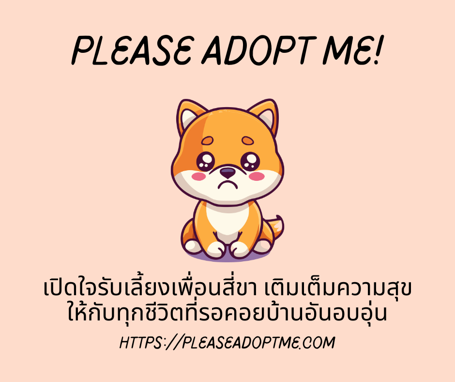 ทำไมหมาไทยพื้นบ้านถูกทิ้งให้เป็นหมาจร?